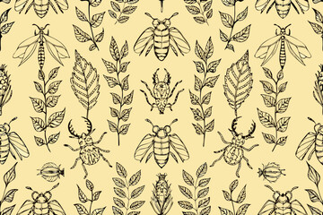 Pattern of Insects and Leaves Black Line Drawing on Cream Background Keywords: insect, beetle, butterfly, dragonfly, ant, bee, leaf, branch