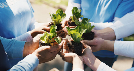 Fertilizer, plants and hands of volunteer group in nature for sustainability community service. Non profit, outdoor and ngo people with soil for leaf growth with charity event at park for earth day.