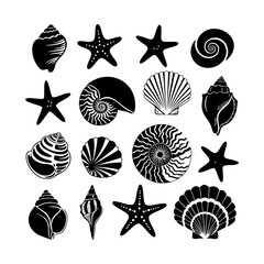Collection of different black sea shells and starfish vector. Seashells black icons set silhouette illustration. © Rokeya