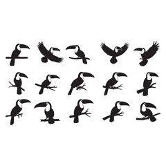 Obraz premium Toucan birds silhouettes vector