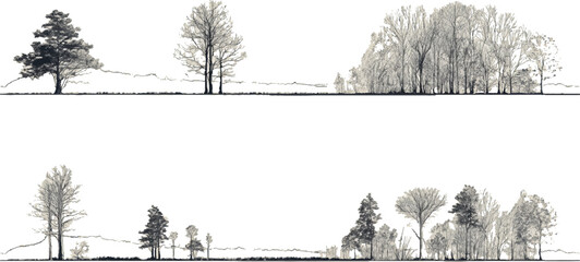 Monochrome line drawing of diverse trees and landscape elements nature © appl