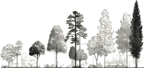 Black and white illustration of diverse trees and architectural elements in a landscape vector © appl