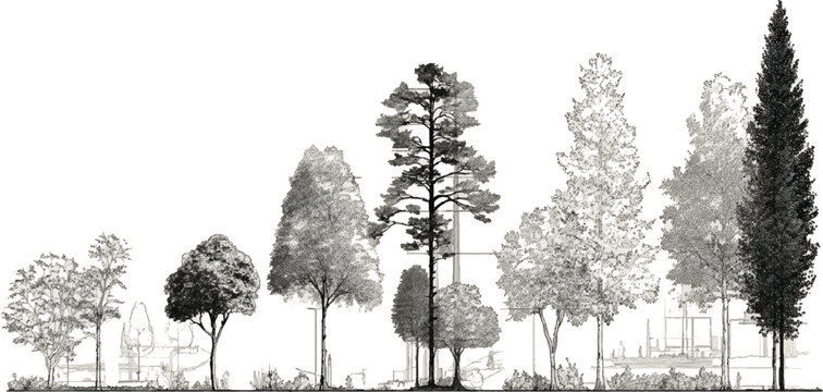Black and white illustration of diverse trees and architectural elements in a landscape vector