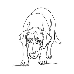 Minimalist single line drawing of a playful dog in a crouch