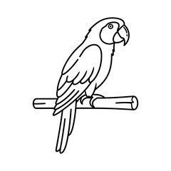 Simple line art drawing of a parrot perched on a branch