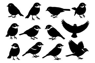 Black bird silhouette vector set with white collars in standing and flying poses illustration