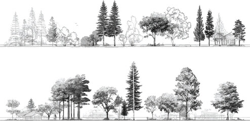 Black and white sketch of diverse trees and foliage with a building in the background forest nature © appl