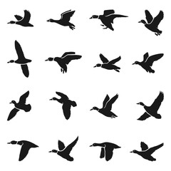 Graceful Flying Duck Silhouettes design Collection