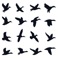 Flying Ducks Silhouette design Set