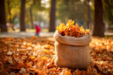 Burlap sack filled with vibrant autumn leaves surrounded by fallen foliage in a sunlit park during fall season with blurred background trees and child playing