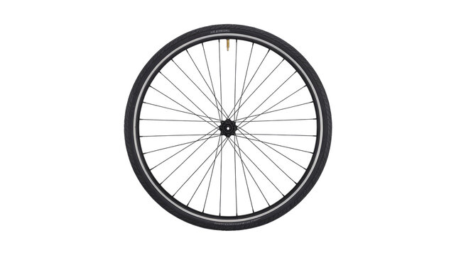A single bicycle wheel, complete with tire, spokes, and hub, presented centrally against a solid, dark transparent background. background removed