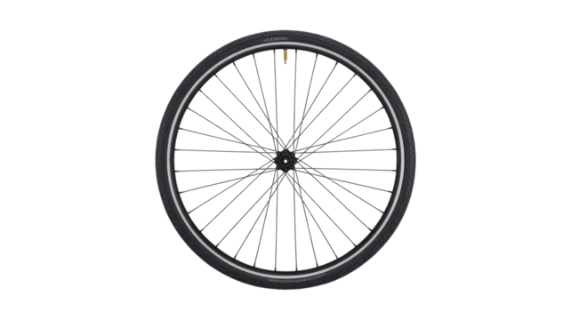 A single bicycle wheel, complete with tire, spokes, and hub, presented centrally against a solid, dark transparent background. background removed