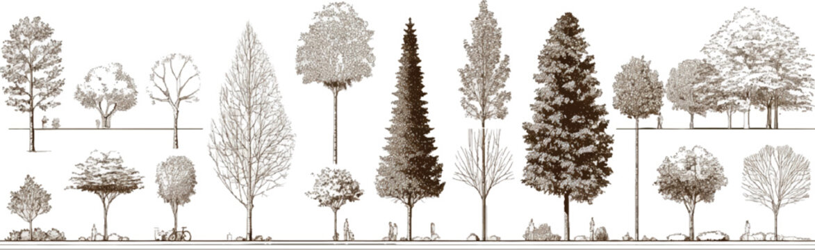 Collection of sepia toned hand drawn trees and small figures in a row nature plant