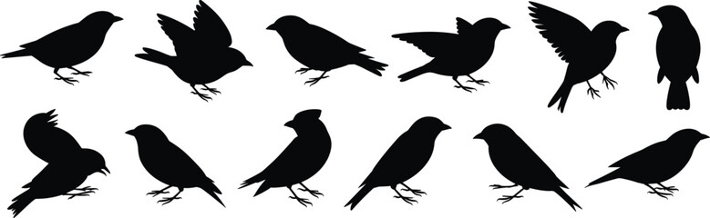 PrintCollection of bird silhouettes featuring various small birds in flying and standing poses, ideal for nature designs, wildlife illustrations, and vector artwork