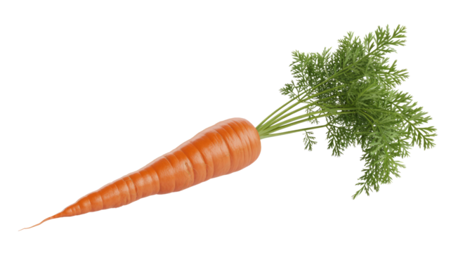 A fresh, vibrant orange carrot with its lush green leafy tops, perfectly isolated for a clean visual presentation. background removed