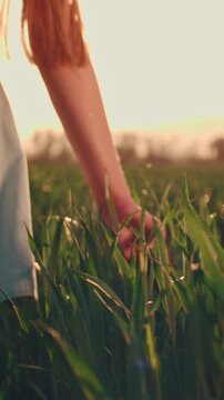 woman touching dew grass morning sun back view slow motion connection with nature mindfulness