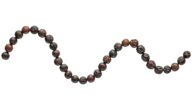 A wavy line of black peppercorns with varied textures and shades of dark brown and black, arranged against a solid transparent background. background removed