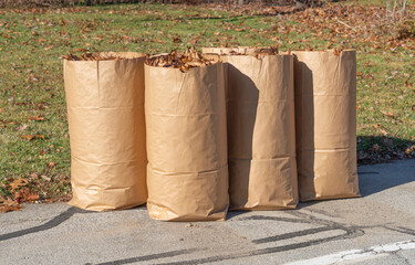 fallen leaves collected in recycle paper bag in autumn for curbside recycling