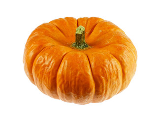 single pumpkin isolated on white background