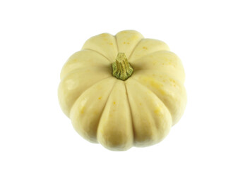 single white pumpkin isolated on white background