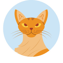 Portrait of an orange cat with yellow eyes and pointed ears against a light blue circular background simple illustration Amber 16-13