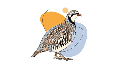 Fototapeta premium Stylized illustration of a Chukar partridge, a game bird with bold black, white, and brown plumage, set against abstract pastel shapes.