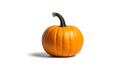 Obraz premium A single vibrant orange pumpkin with a dark stem on a white background
