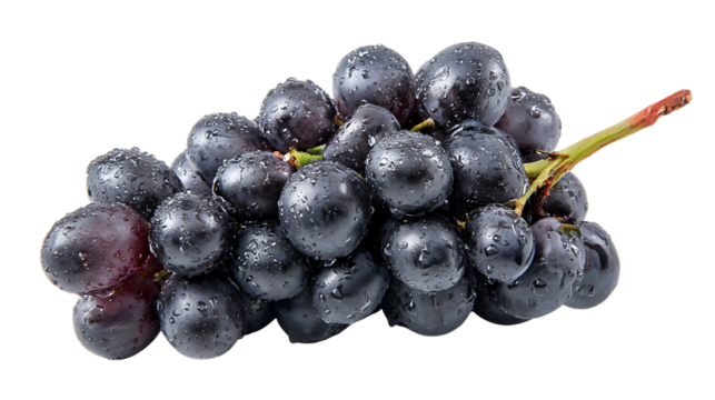 Fresh bunch of dark purple black grapes with water drops, healthy fruit, isolated on transparent background