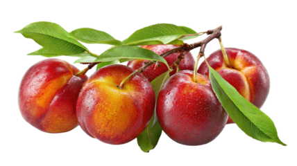 Fresh apple with green leaf showing vibrant color, natural texture, and healthy fruit quality perfect for food themes isolated on white background