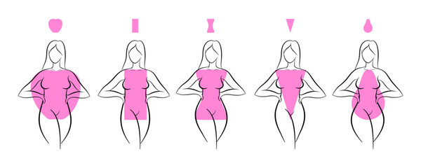 Female body types and classification of body types visual image for choosing the right wardrobe and training plan, Five types of women s body shapes.Flat vector illustration design isolated on white