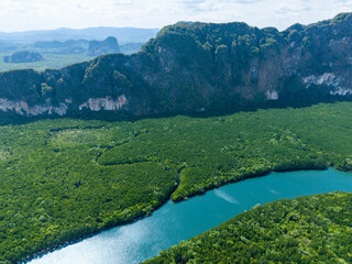 Fototapeta premium Aerial view of a vibrant turquoise river running through dense mangrove forest in Southern Thailand.