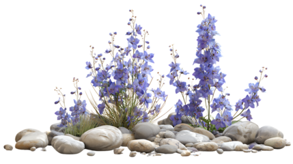 Tall blue delphiniumlike flowers with smooth river stones and pebbles, isolated on transparent background