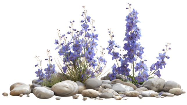 Tall blue delphiniumlike flowers with smooth river stones and pebbles, isolated on transparent background - Powered by Adobe