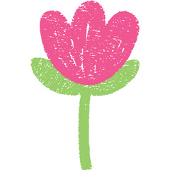 Simple Hand Drawn Pink Tulip Flower With Green Stem and Leaves On Transparent Background And White Texture