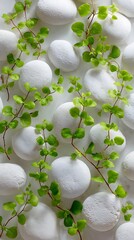 White Smooth Stones with Green Leafy Vines on Bright White Background