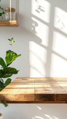 Wooden shelf, plant, sunlit wall, minimalist decor