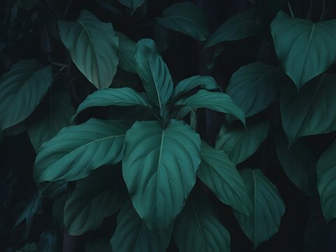 Lush green leaves of a tropical plant dark and moody botanical background perfect for nature-themed designs