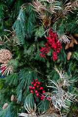Christmas street decorations. Cones, red berries, gilded plants among the branches of spruce, fir and pine, decorating the entrance to the store