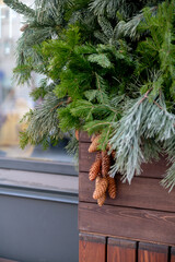 Christmas street decorations. Branches of spruce, fir, pine, cones decorating the entrance to the store.