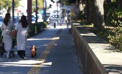people walking on the street