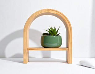 Succulent in arched wood frame on white backdrop, shadows