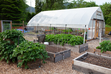 High tunnel greenhouse in a community garden with raised garden beds
