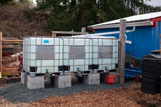 Three water storage tanks at a community garden for rain catchment