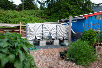 Three water storage tanks at a community garden for rain catchment