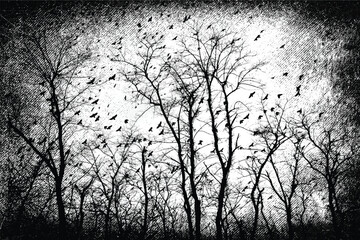 Silhouette of bare trees with flying birds. Gothic style black and white illustration	