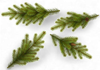 Bring the beauty of evergreen foliage indoors with lush fir branches, perfect for holiday crafts, festive decorations, and adding a touch of nature to your creative projects, a touch of winter