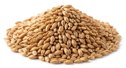 Pile of wheat grain for healthy eating concept