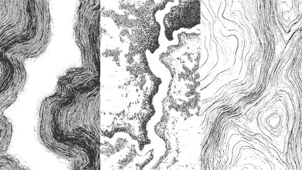 Three abstract black and white textured patterns with organic wavy lines and stippled areas vector