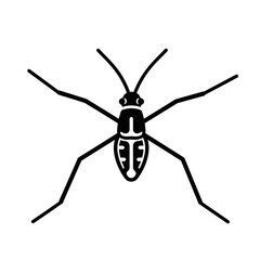 Detailed Illustration of a Water Strider Insect.