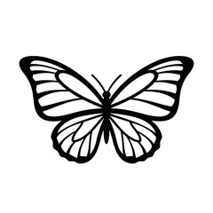 Elegant butterfly silhouette with intricate wing patterns and delicate details.